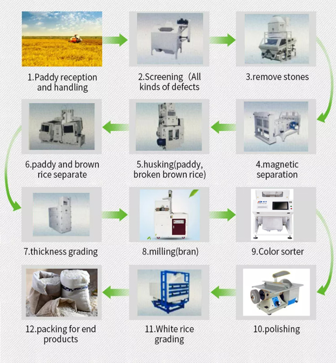 High Speed Ccd Color Sorter Machine Small Agriculture Machinery​ 0