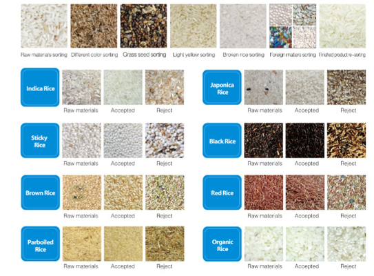 Dreamplus Rice Color Sorter Keakuratan Tinggi 99,99% Mesin Sorting