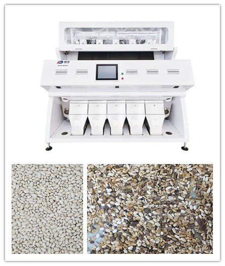 CCD RGB Optical White Bean Grain Sorter 5 Chutes 320 Channels